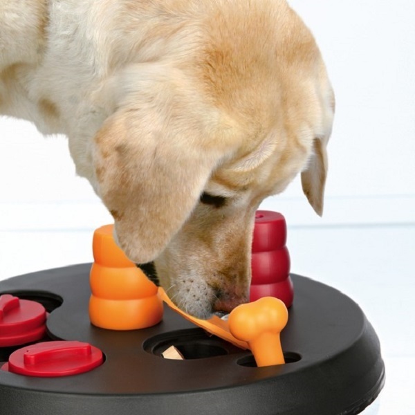 Dog Activity Strategiespiel 'Flip Board'