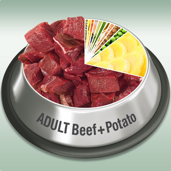 Platinum Adult Beef & Potato 1,5 kg