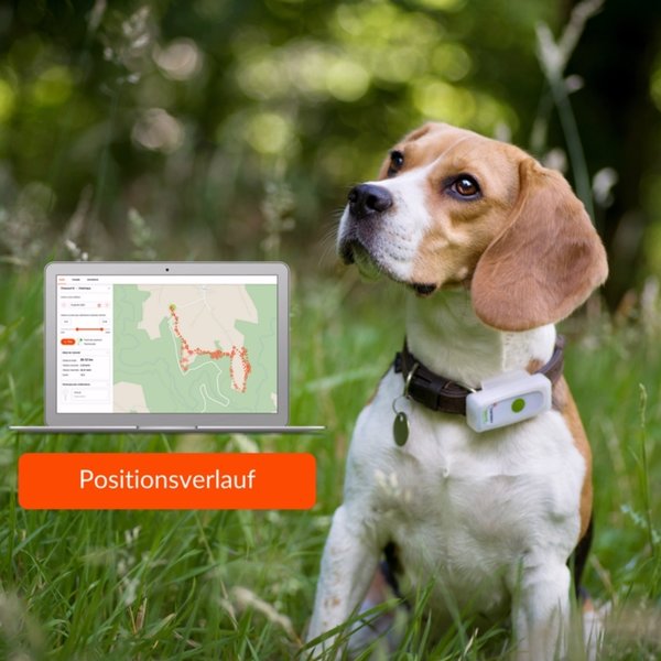 Weenect GPS-Tracker Dogs 2