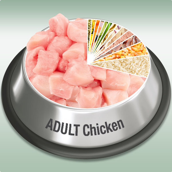 Platinum Adult Chicken 15 kg