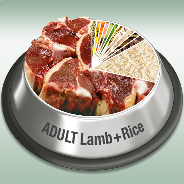Platinum Adult Lamb & Rice 15 kg