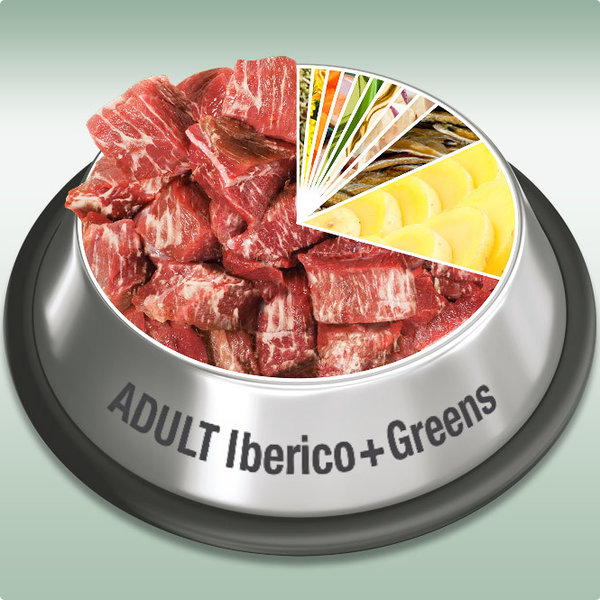 Platinum Adult Iberico & Greens 15 kg